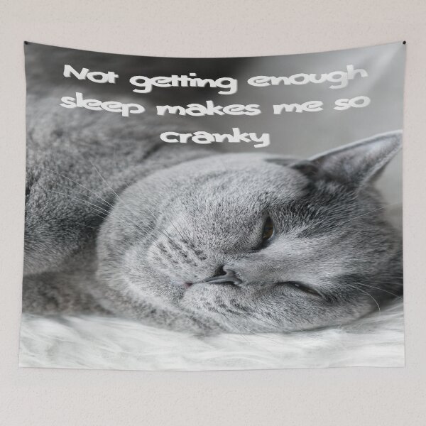 Item preview, Not getting enough sleep makes me so cranky designed and sold by BL0814ART.