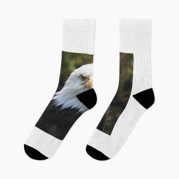 Item preview, Bald Eagle Portrait - Nature and Animals Photography designed and sold by Dan Shachar.