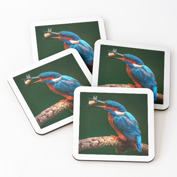 Item preview, Kingfisher 6 designed and sold by JayGilmourMedia.