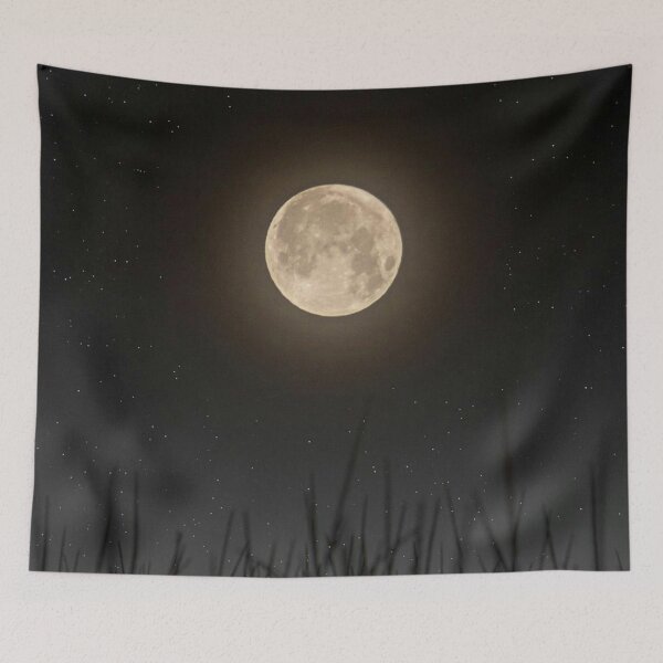 Item preview,  full moon in the reed designed and sold by 42youbest.