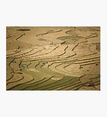 Terraced Rice fields, Tu Le Valley, Vietnam Photographic Print