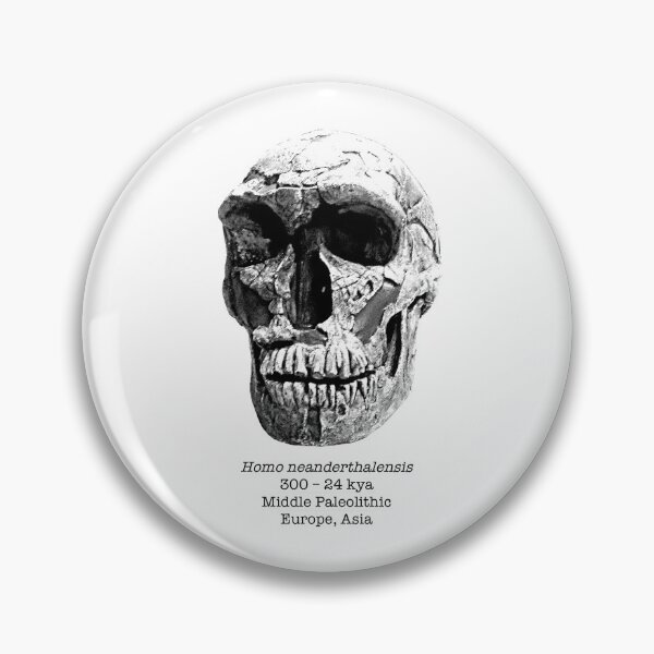Item preview, Homo neanderthalensis (sketchy style) designed and sold by SnazzyScience.