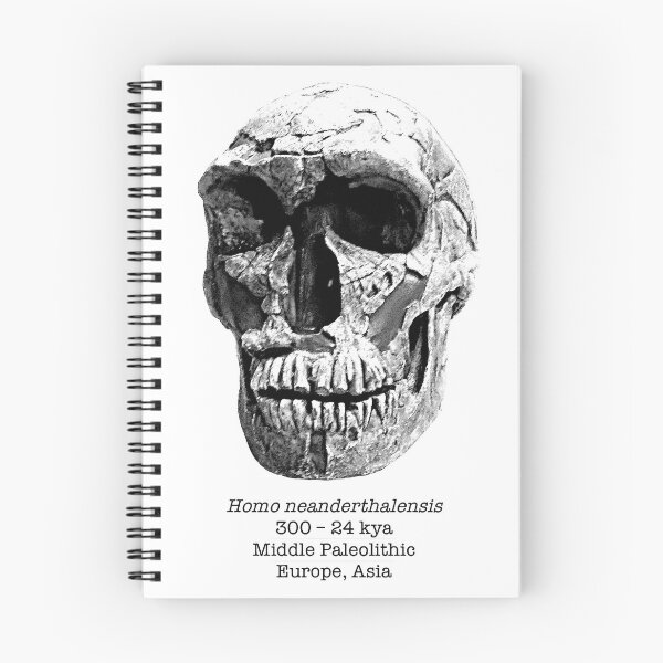 Item preview, Homo neanderthalensis (sketchy style) designed and sold by SnazzyScience.