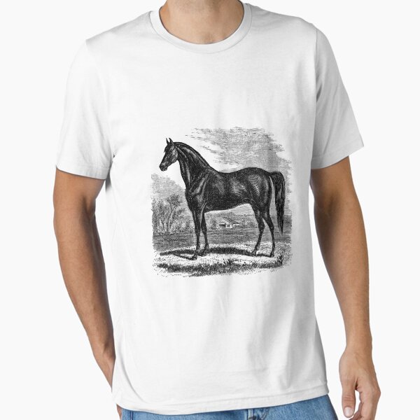 Item preview, Vintage Morgan Horse Equestrian Horses designed and sold by SilverSpiral.