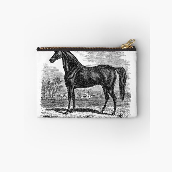 Item preview, Vintage Morgan Horse Equestrian Horses designed and sold by SilverSpiral.