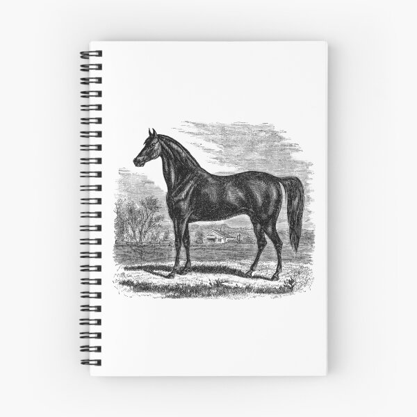 Item preview, Vintage Morgan Horse Equestrian Horses designed and sold by SilverSpiral.