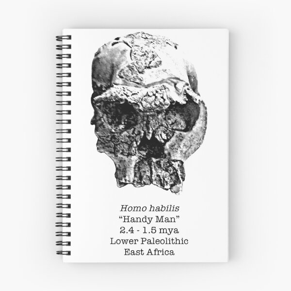 Item preview, Homo habilis (sketchy style) designed and sold by SnazzyScience.
