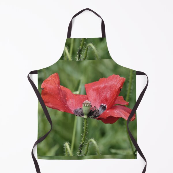 Item preview, r 2565/ 10 " Le Zorro des Coquelicots, The Poppy Zorro " par Okaio Créations Olavia&Olao designed and sold by o.okaïo.