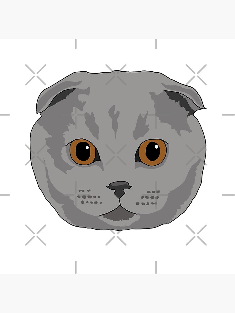 Cozy Scottish Fold Cat Throw Pillow - Adorable Kitty Portrait Home Decor Gift