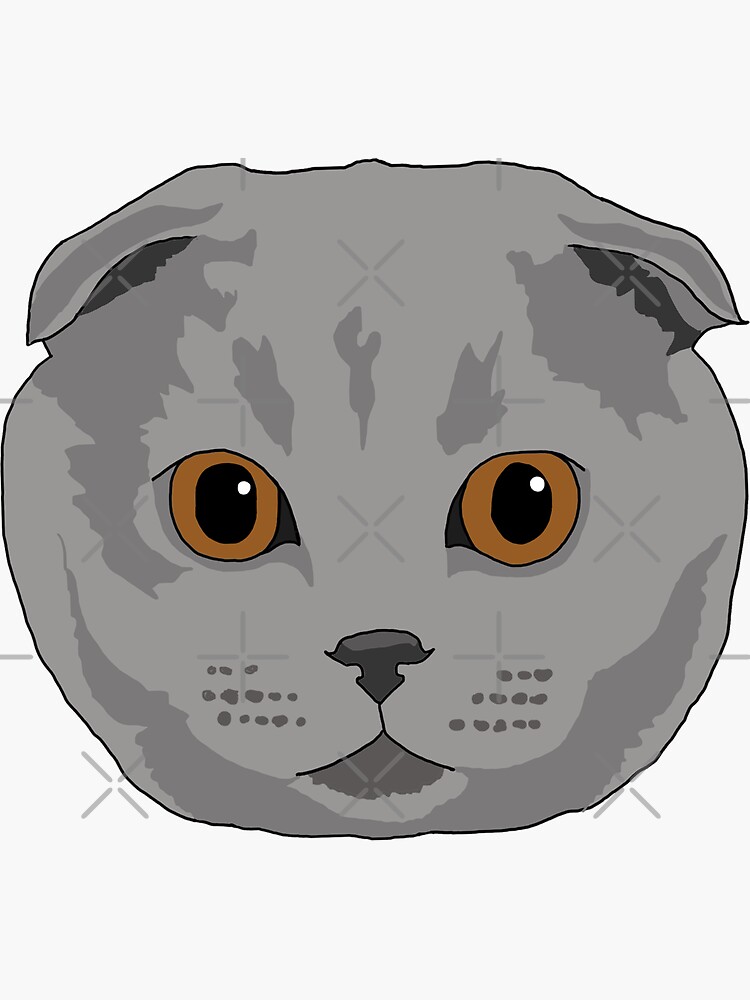 Scottish Fold Geschenke Merchandise Redbubble