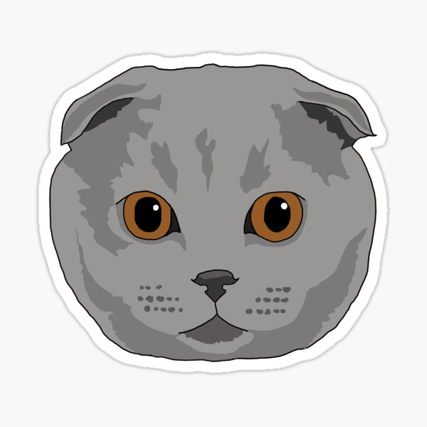 Scottish Fold Gifts & Merchandise for Sale | Redbubble