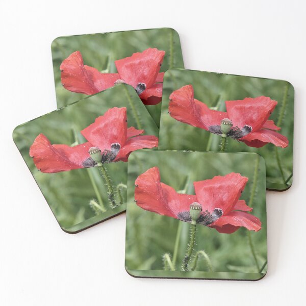 Item preview, r 2565/   10 "  Le Zorro des Coquelicots, The Poppy Zorro " par Okaio Créations   Olavia&Olao designed and sold by o.okaïo.