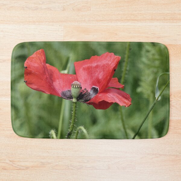 Aperçu de l'œuvre r 2565/ 10 " Le Zorro des Coquelicots, The Poppy Zorro " par Okaio Créations Olavia&Olao créée et vendue par o.okaïo.