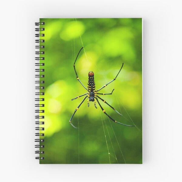 Artikelvorschau, Holzspinne entworfen und verkauft von Hunterboyxo.