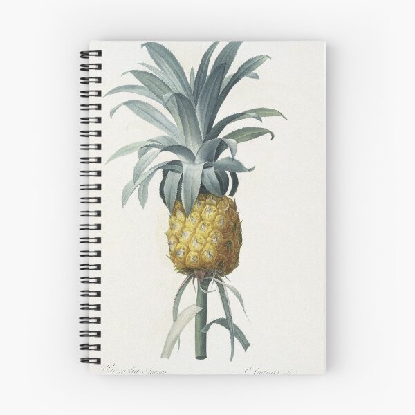 Item preview, Pineapple designed and sold by BillyBernie.