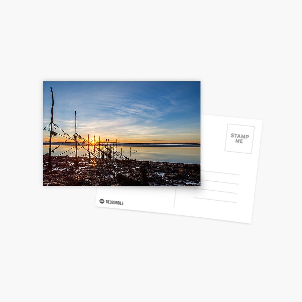 Item preview, Postcard designed and sold by davecurrie.