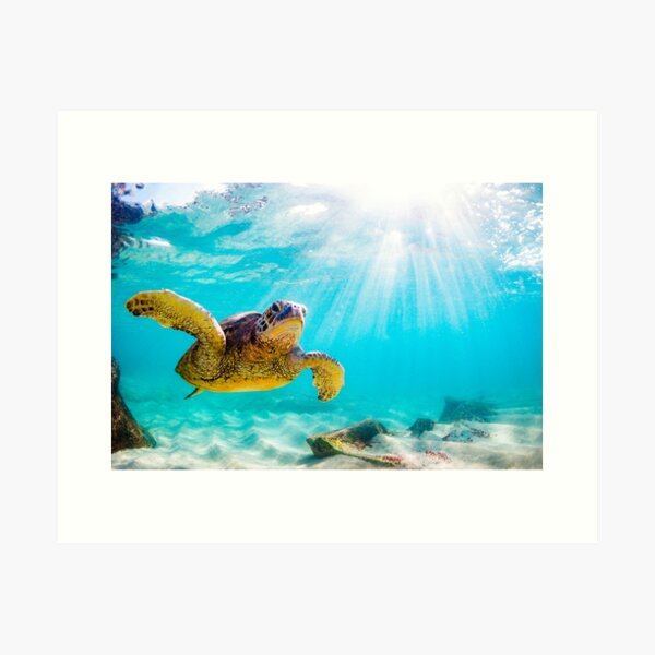 Aperçu de l'œuvre Tortue de mer de l'océan bleu - Océanographie des tortues de natation en mer d'été créée et vendue par Motivation111.
