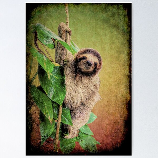 Wholesale Kawaii Sloth Rainforest Cute Animal Silicone Gift for
