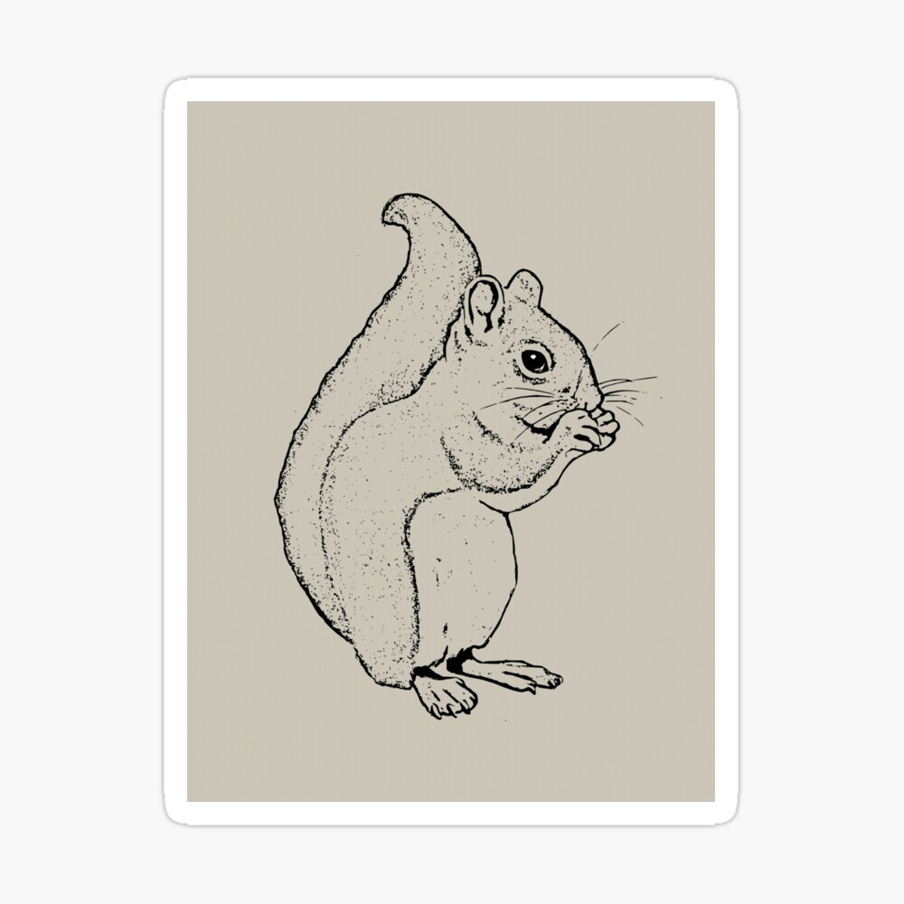 Hand Drawn Red Squirrel Isolated On White Background. Pencil Drawing.cartoon  Illustration Of Cute Furry Rodent With Tail. Stock Photo, Picture and  Royalty Free Image. Image 131401904.