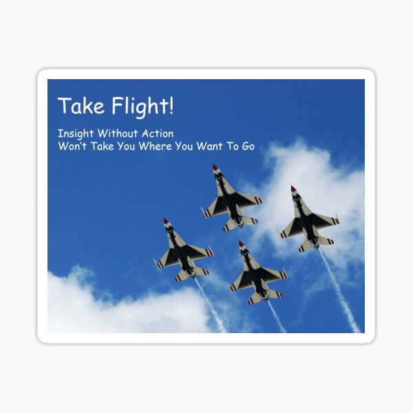 Item preview, Take Flight! designed and sold by BWBConcepts.