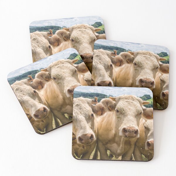Item preview, Curious cattle designed and sold by Photopat.