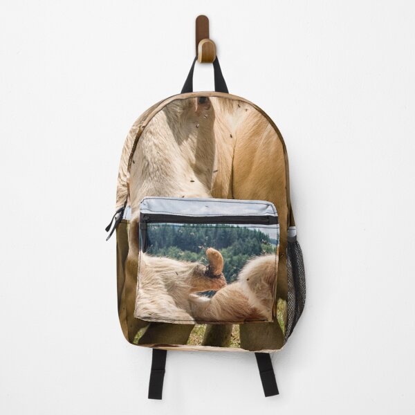 Item preview, Curious cattle designed and sold by Photopat.