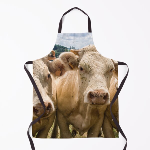 Item preview, Curious cattle designed and sold by Photopat.