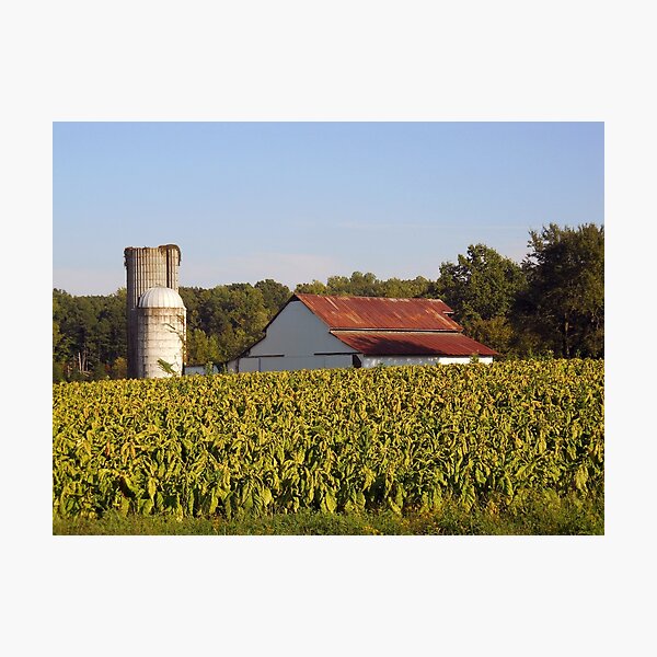 Old Farm v3 (basic edits) Photographic Print