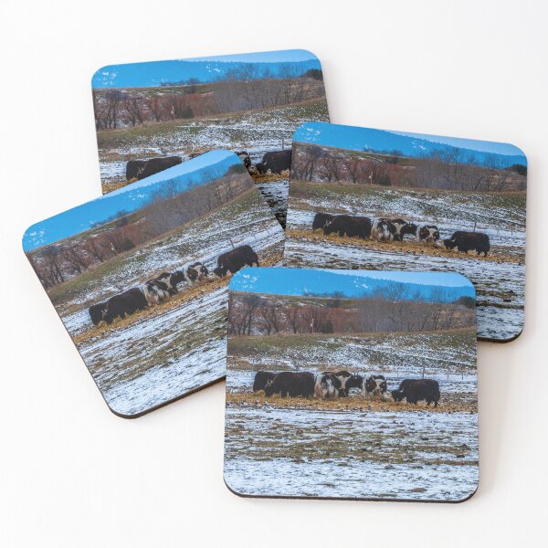 Item preview, Yaks?  In Montana? designed and sold by Bryan Spellman.