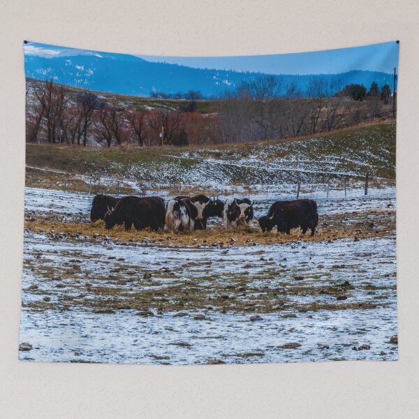 Item preview, Yaks?  In Montana? designed and sold by Bryan Spellman.