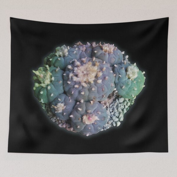 Item preview, Peyote psychedelic designed and sold by Fruitsome.