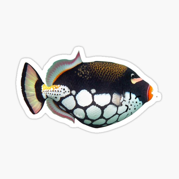 CLOWN AROUND Sticker