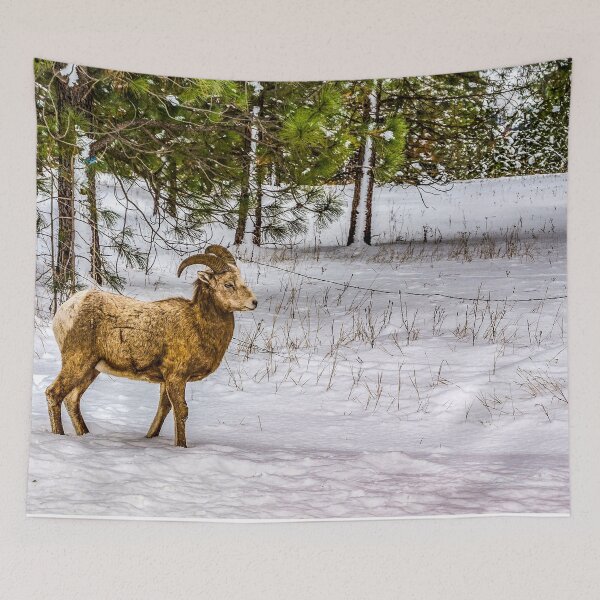 Item preview, Rocky Mountain Big Horn Sheep designed and sold by Bryan Spellman.