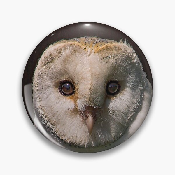 Item preview, Barn Owl Portrait designed and sold by SWEEPER.