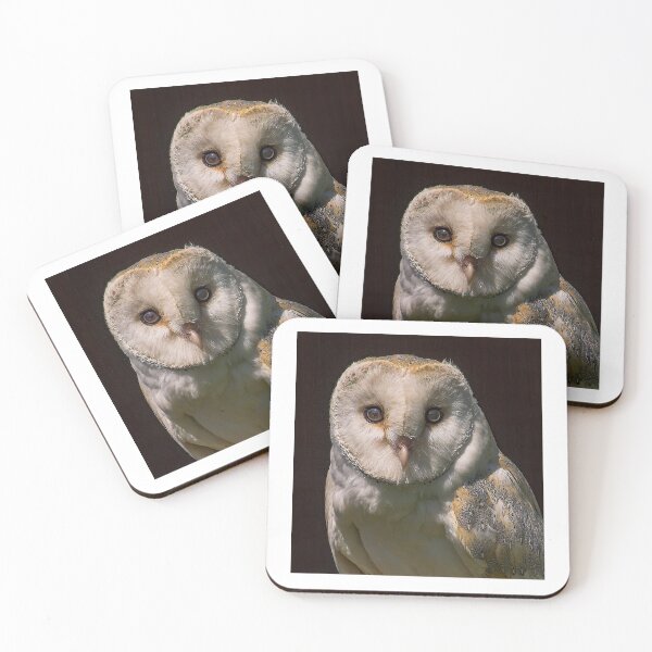 Item preview, Barn Owl Portrait designed and sold by SWEEPER.