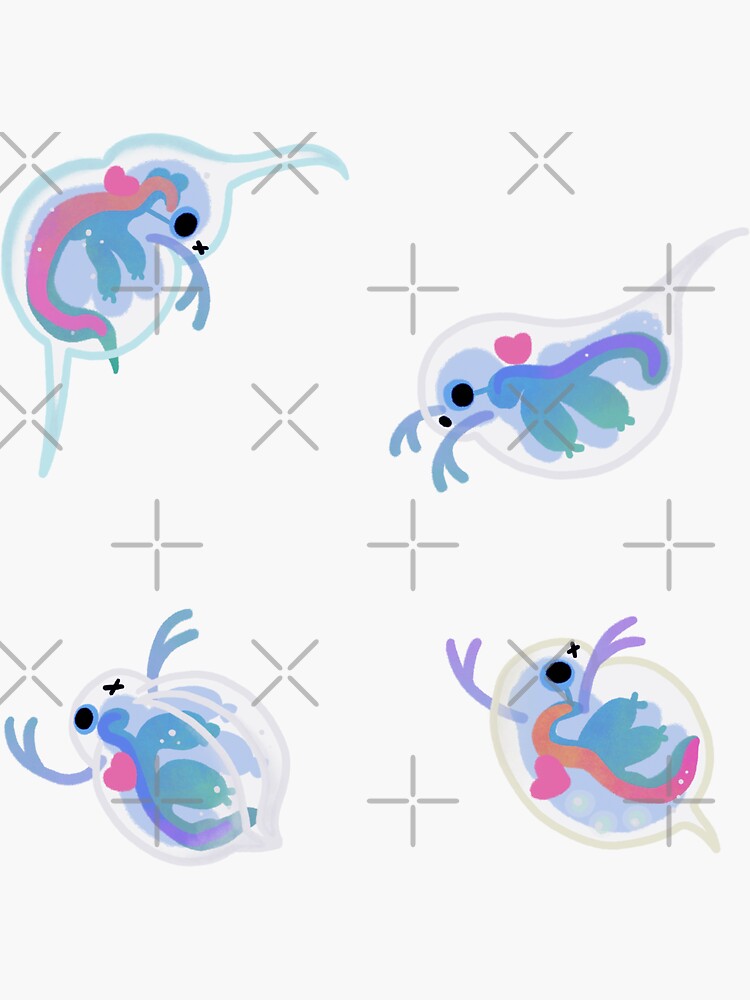 Daphnia Sticker For Sale By Pikaole Redbubble