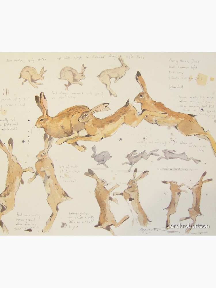 Discover Hare Sketches Duvet Cover