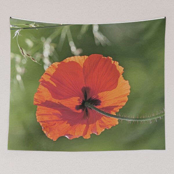 Item preview, r 2567/   12 "  Eternel Beauté du Coquelicot " par Okaio Créations   Olavia&Olao designed and sold by o.okaïo.