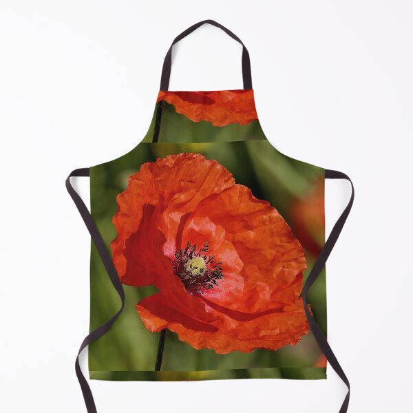 Item preview, r 2566/ 11 " un Coquelicot Capteur de Lumière-Light " par Okaio Créations Olavia&Olao designed and sold by o.okaïo.