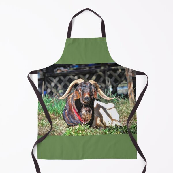 Item preview, Smelly Old Goat designed and sold by Savannah Gibbs.