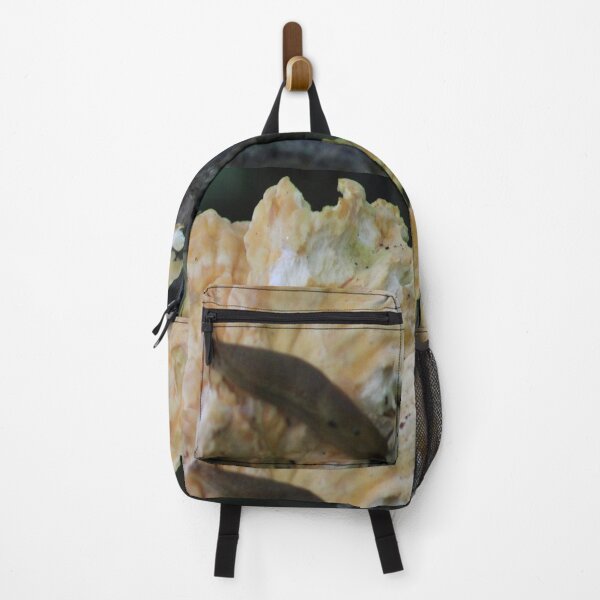 Item preview, Snail on Fungi designed and sold by William Franklin-Cromwell.