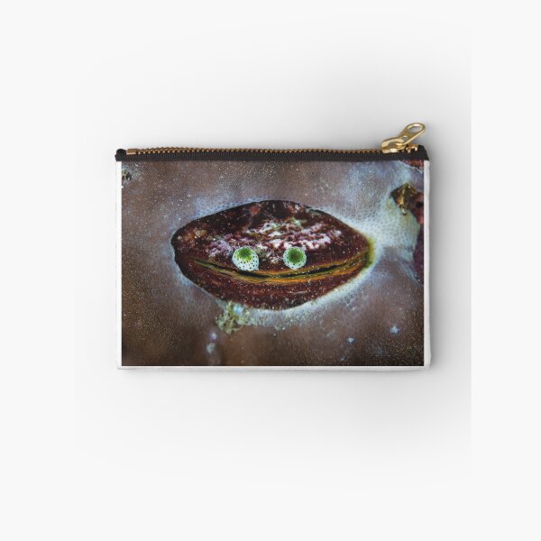 Item preview, Tunicate colonies on bivalve designed and sold by Jose Antonio  Castellano Garrido.