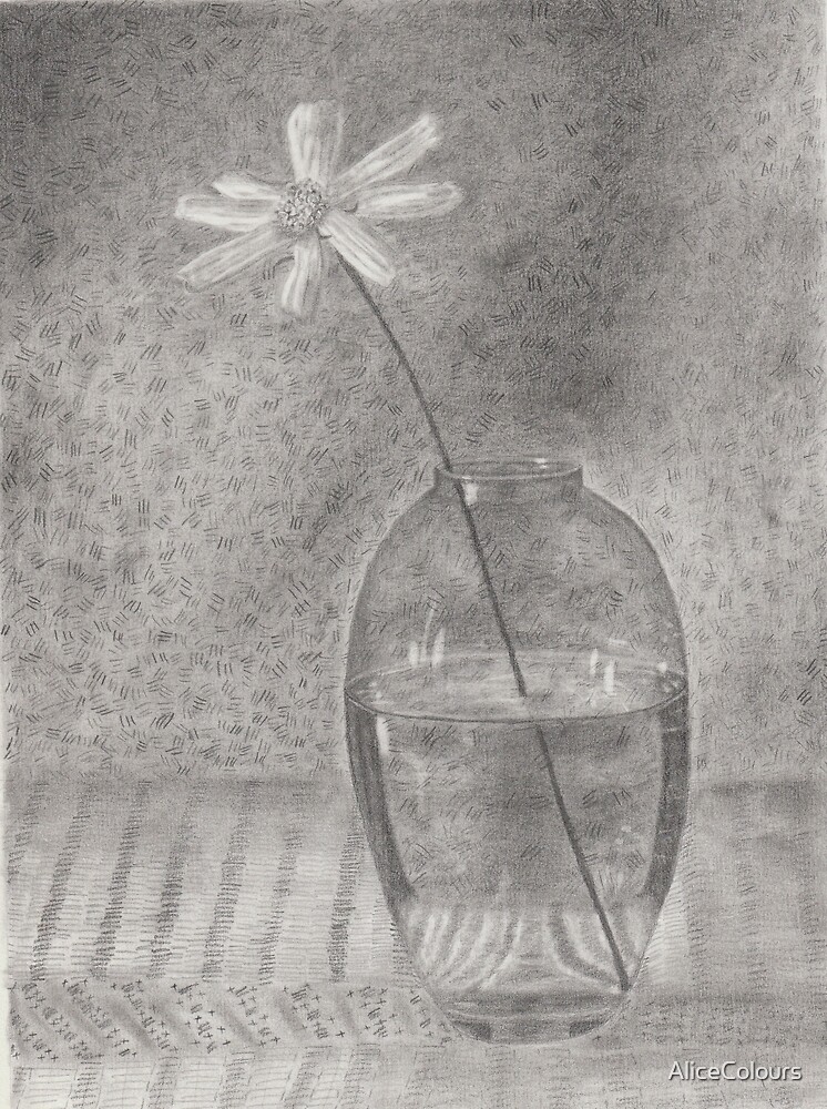 Graphite Pencil Drawing Flower In Vase By Alicecolours Redbubble