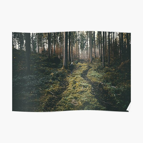 Niño caminando por la fotografía de paisaje de bosque místico Póster