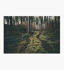 Boy walking through mystic forest landscape photography Photographic Print