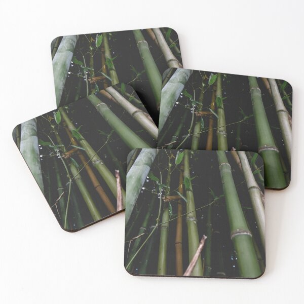Item preview, Bamboo forest designed and sold by MrBrainyJack.