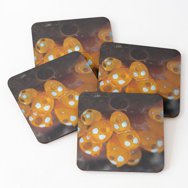 Item preview, Tunicates designed and sold by Jose Antonio  Castellano Garrido.