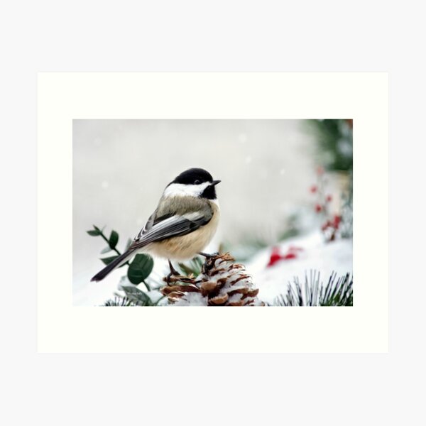 Item preview, Winter Chickadee designed and sold by Christina Rollo.