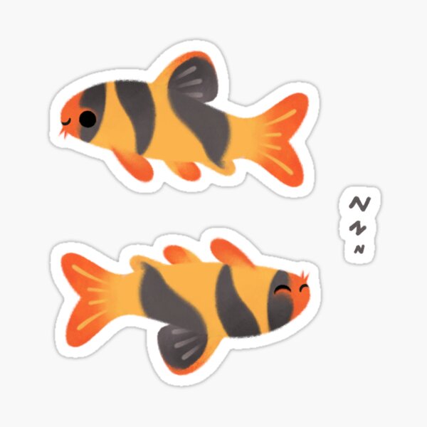 Clown loach Sticker