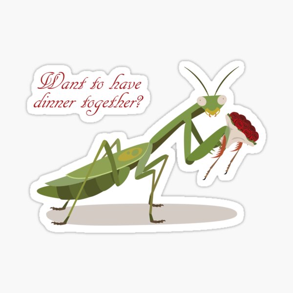 Gamedawg en X: I love that there's finally a praying mantis